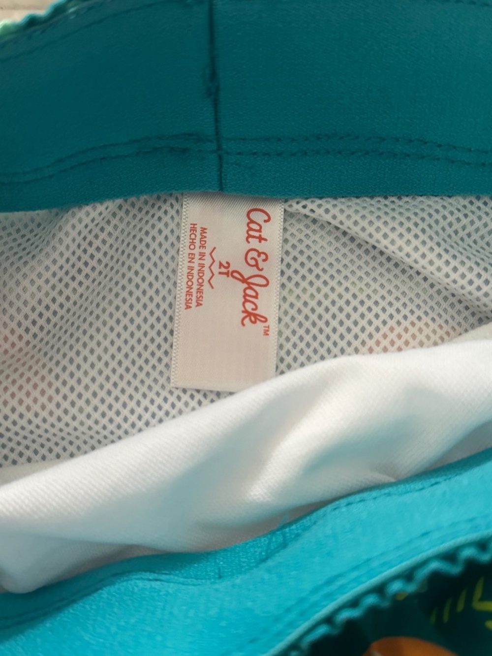 Toddler Boy Swim Trunks - Picture 3 of 6